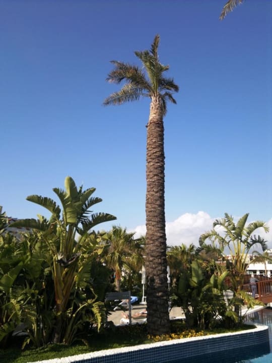 Poolbereich Sunis Evren Beach Resort Hotel & Spa