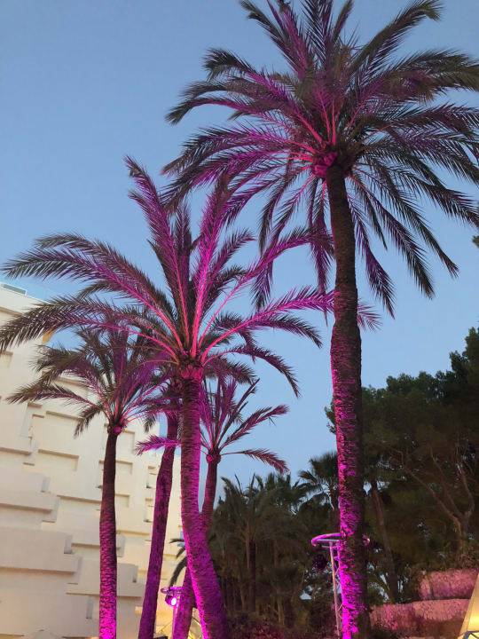 Außenansicht allsun Hotel Bella Paguera