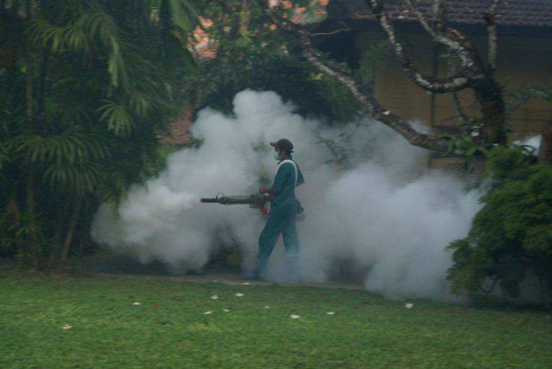 Einsatz gegen die Mücken 3 x wöchentlich Puri Santrian