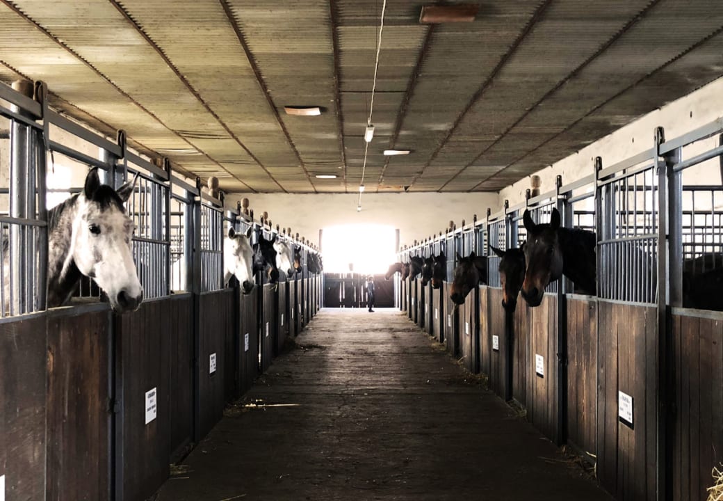 Sport & Freizeit Dworek Bielin