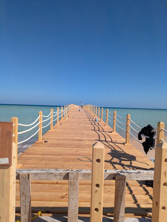 Strand JAZ Elite Asteria