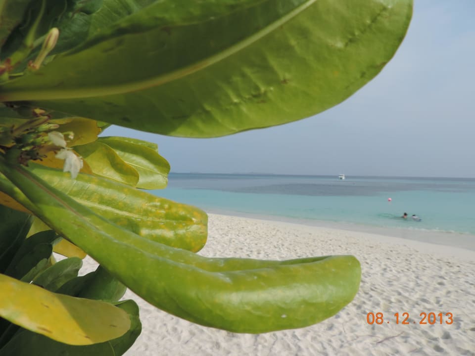 Südseite Kuredu Island Resort & Spa