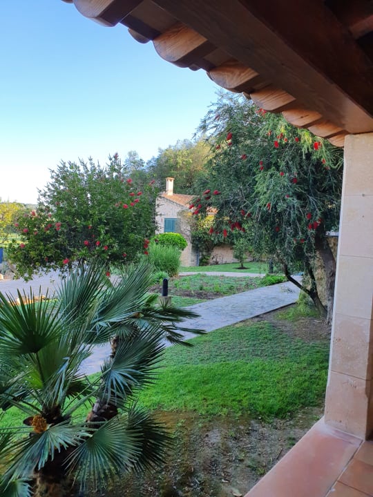 Zimmer Finca Son Roig