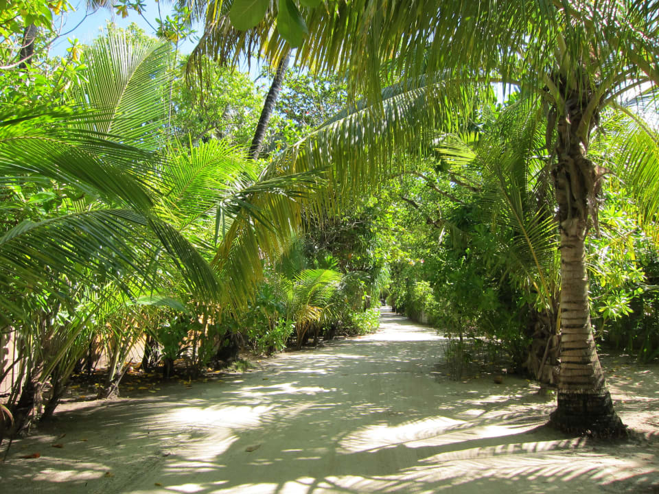 Weg innerhalb der Insel Kuredu Island Resort & Spa