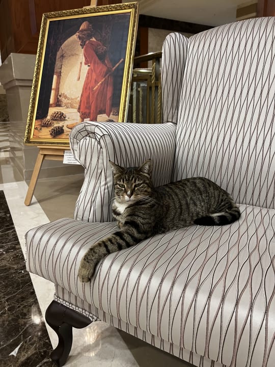 Lobby Crystal De Luxe Comfort Collection