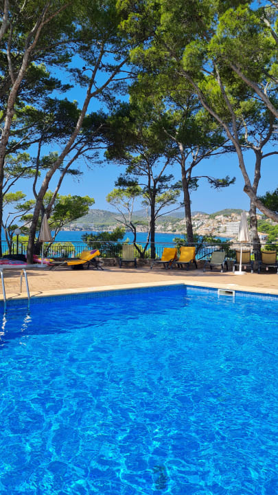 Pool Universal Hotel Lido Park & Spa