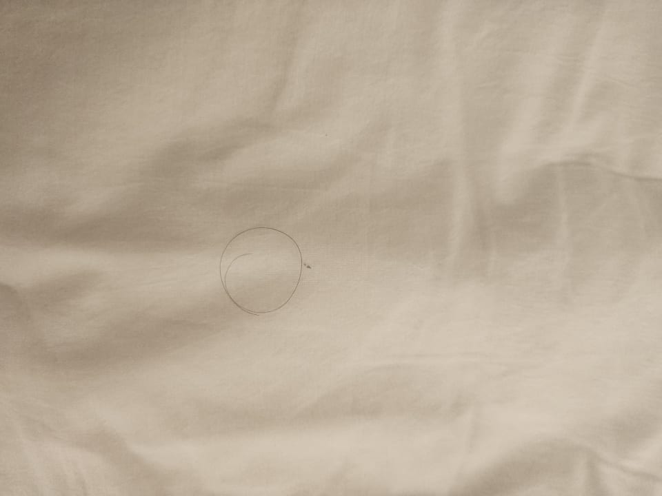 Zimmer Well Palace Side