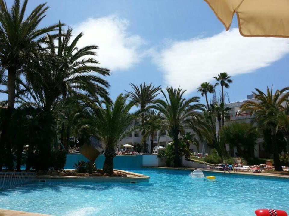 Zwei Schwimmbecken Calimera Fido Gardens