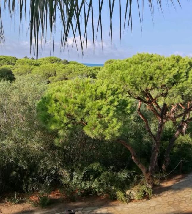 Gartenanlage Valentin Sancti Petri