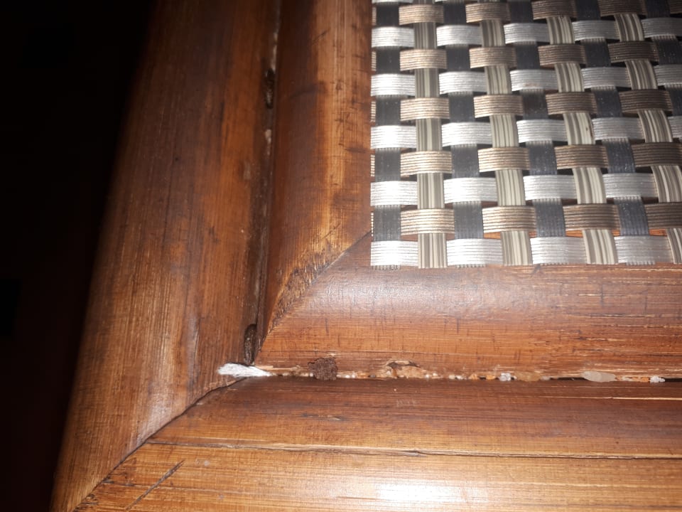 Gastro Makadi Spa - Adults only