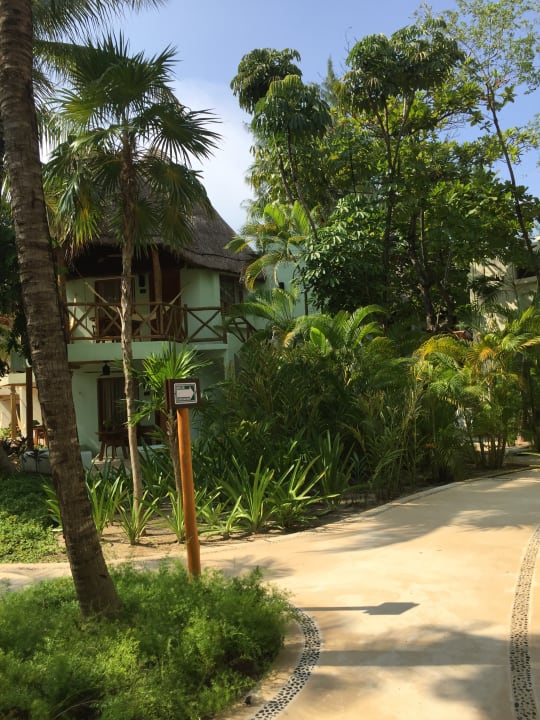 Gartenanlage Mahekal Beach Resort
