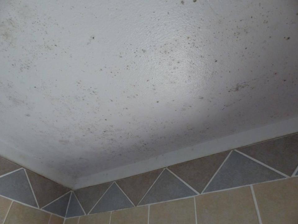 Bad-WC mit Schimmel Giants Castle Camp