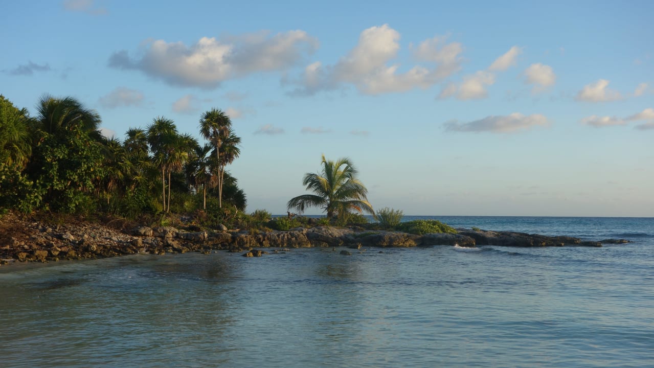 Links vom Hotel Catalonia Royal Tulum Beach & Spa Resort - Adults only