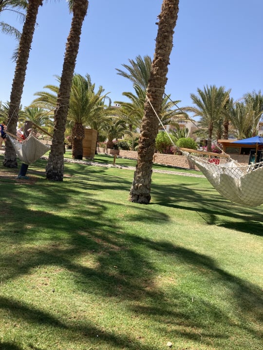 Gartenanlage Fort Arabesque Resort, Spa & Villas