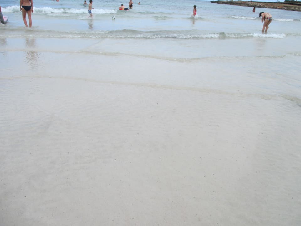 Weißlicher Sand, glasklares Wasser Hotel Palia Sa Coma Playa