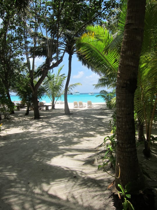Vor den Gartenvillen 1-12 Kuramathi Maldives