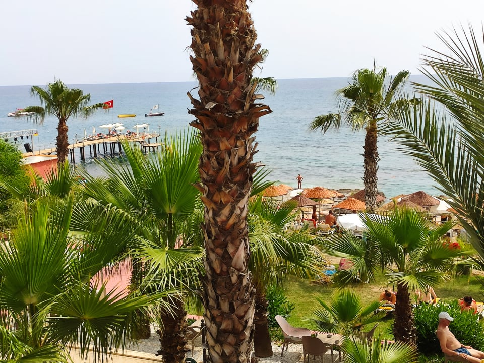 Strand Club Dizalya