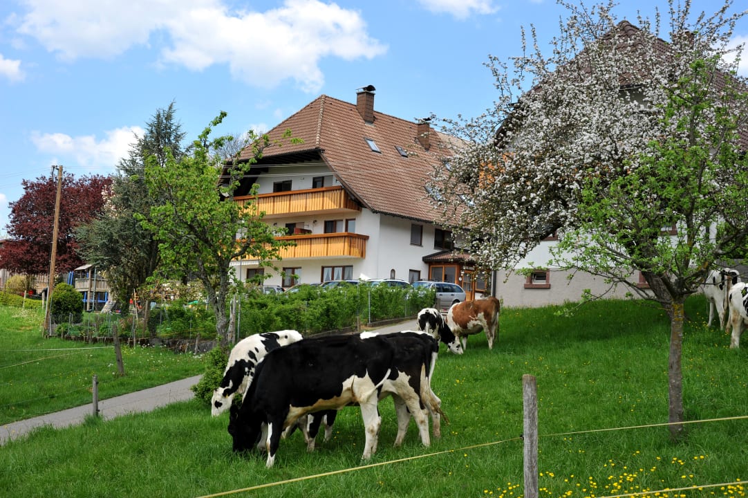 Außenansicht Fischerhof - Urlaub auf dem Bauernhof