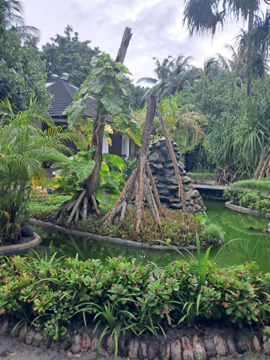 Gartenanlage Adaaran Select Meedhupparu Island Resort - Premium All Inclusive