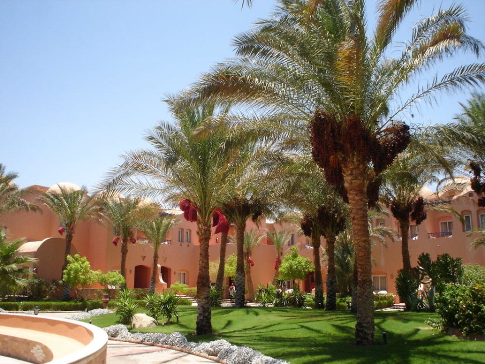 Территория отеля Jaz Makadi Oasis Resort