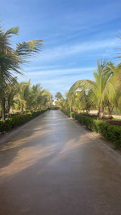 Gartenanlage Hotel Riu Palace Santa Maria