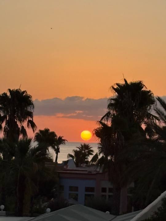 Ausblick Atrium Palace Thalasso Spa Resort & Villas