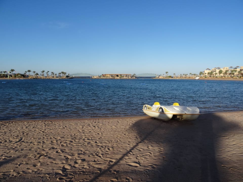 Lagune zum Schwimmen Desert Rose