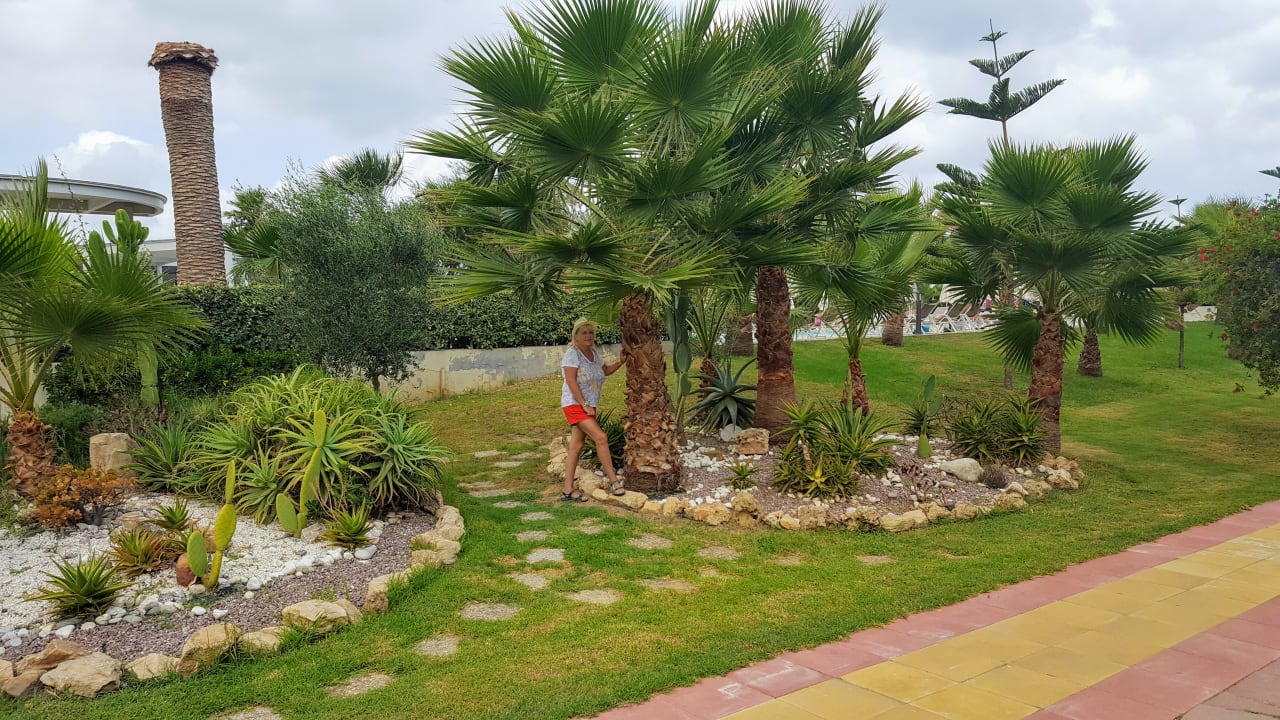 Garten Hotel Minos Mare Beach