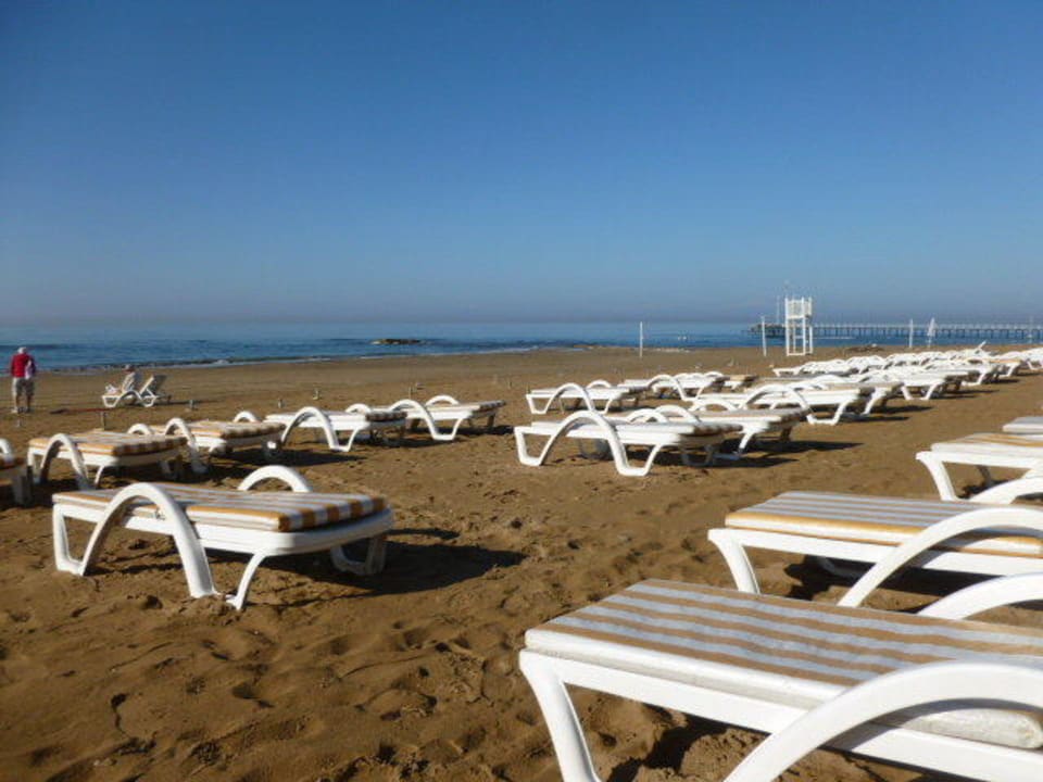 Soleil de février Arum Barut Collection