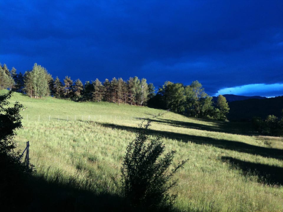 Die Wiese mit Rehen vor dem Haus Landhaus Hauptmann
