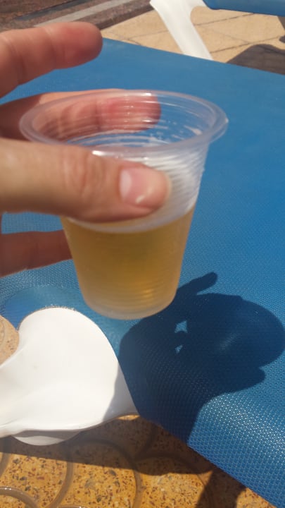 Restaurant Sea Star Beau Rivage