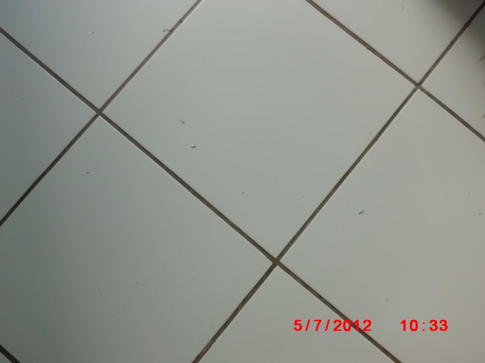 Schmutz überall Hotel Nesrine