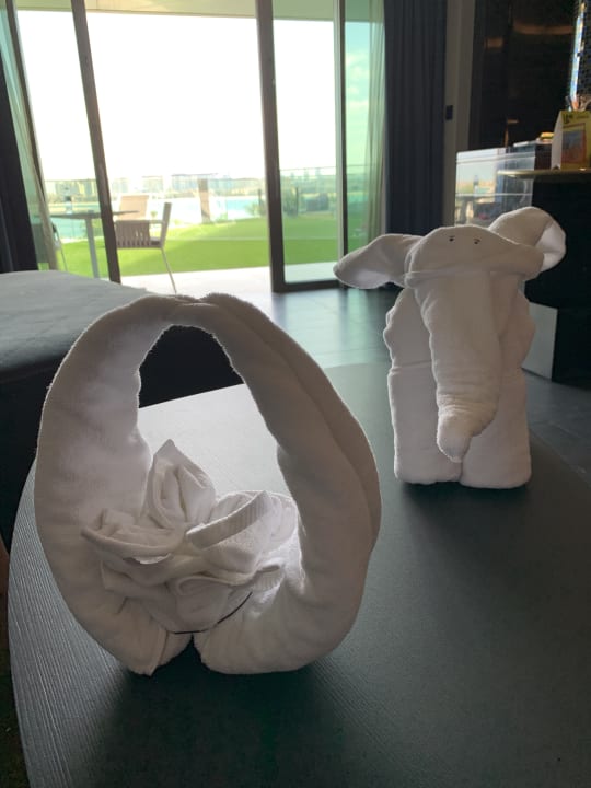 Zimmer W Dubai - The Palm