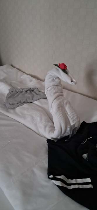 Zimmer Dream World Resort & Spa