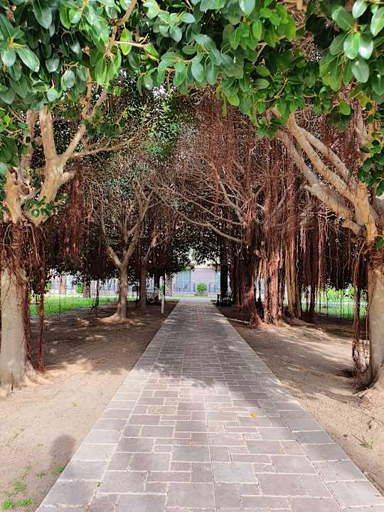 Gartenanlage TUI BLUE Palm Garden