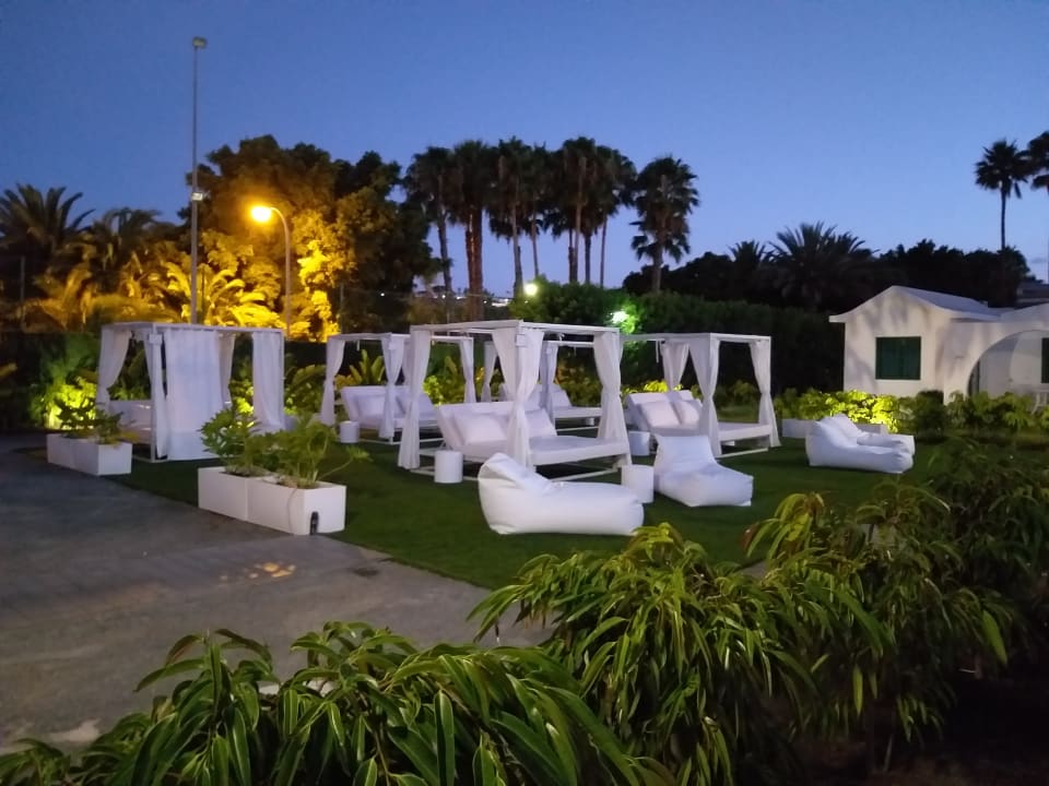 Sonstiges Canary Garden Club