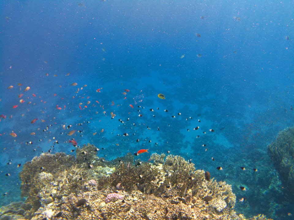 Strand Casa Mare Resort