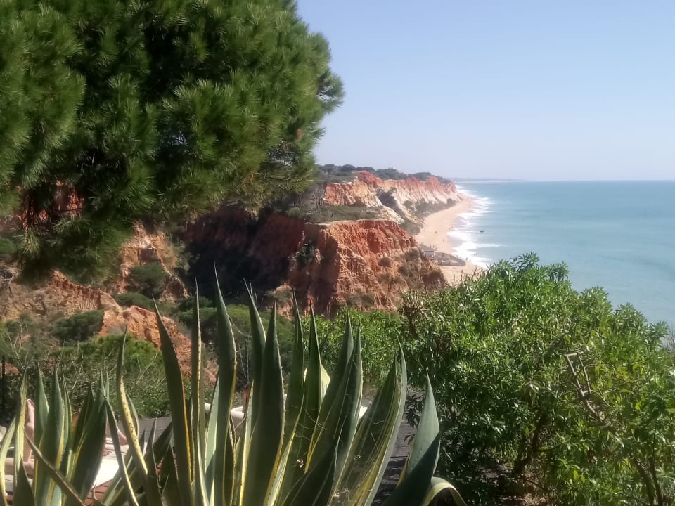 Gartenanlage PortoBay Falésia