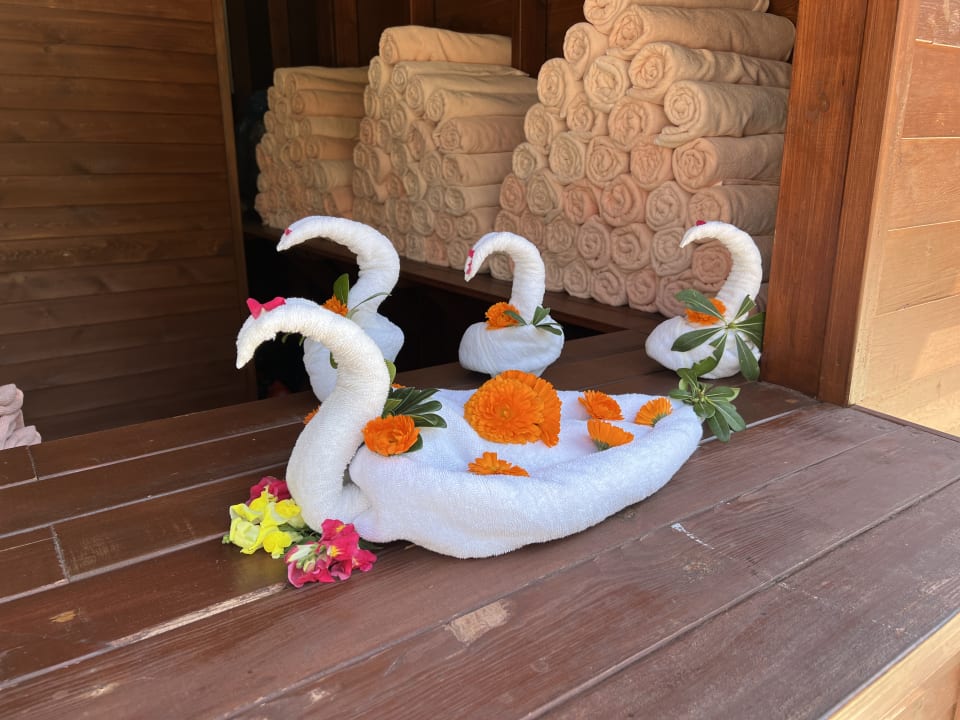 Pool Hotel Delphin Imperial