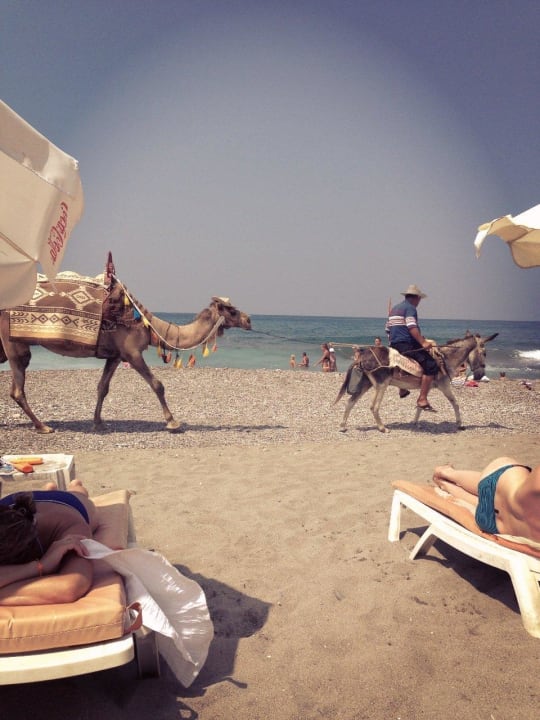 Пляж Prestige Alanya