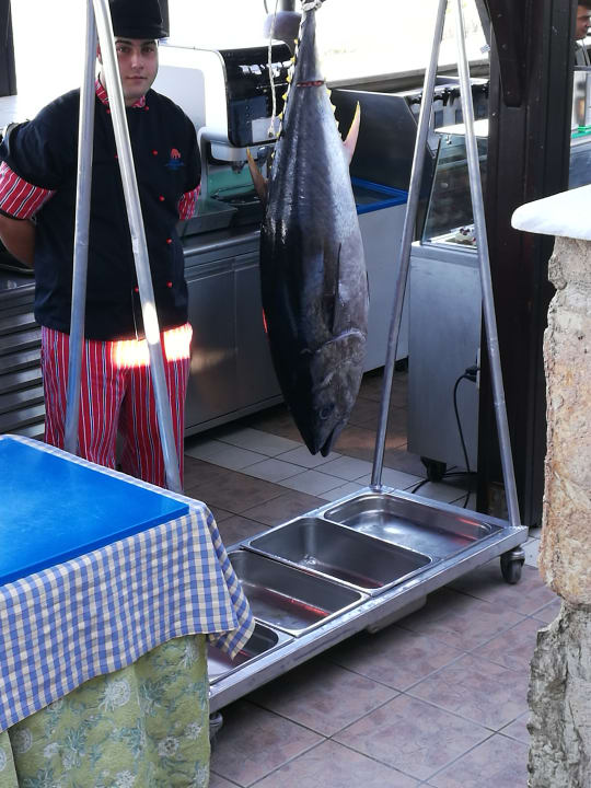 Sonstiges Hotel Kalithea Horizon Royal