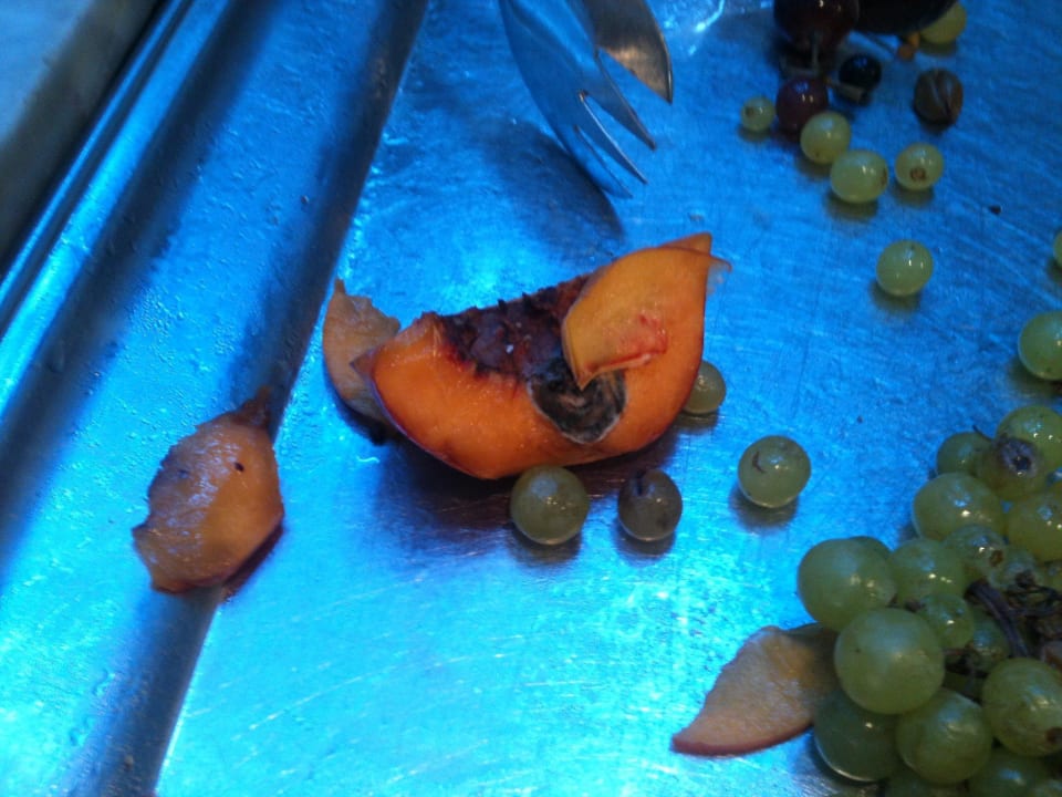 Verschimmeltes Obst am Buffet Simantro Resort