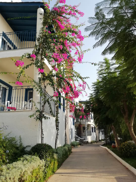 Gartenanlage Bodrum Holiday Resort & Spa