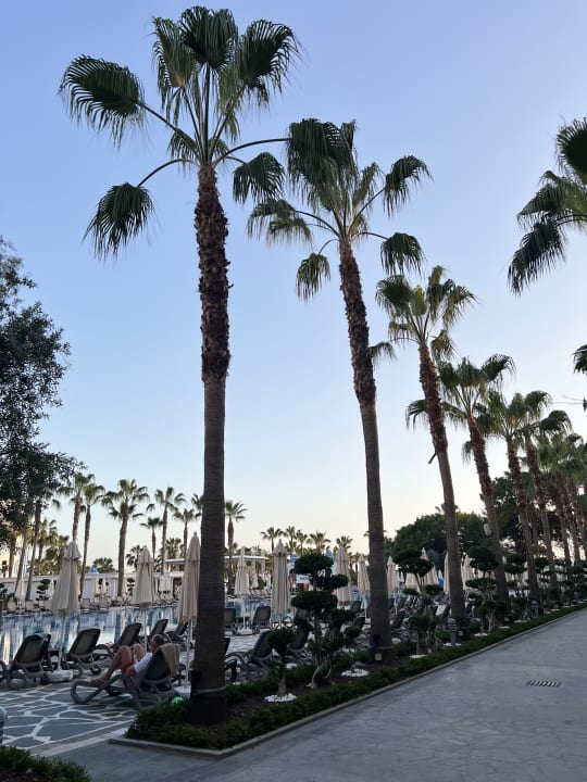 Außenansicht Rubi Platinum Spa Resort & Suites