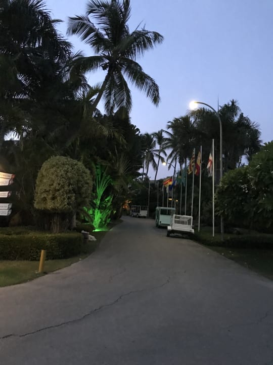 Gartenanlage Hotel Grand Palladium Palace Resort, Spa & Casino