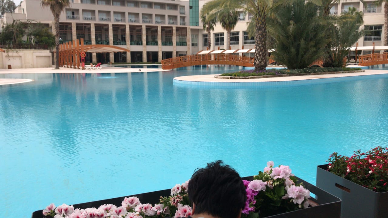 Pool Rixos Premium Tekirova