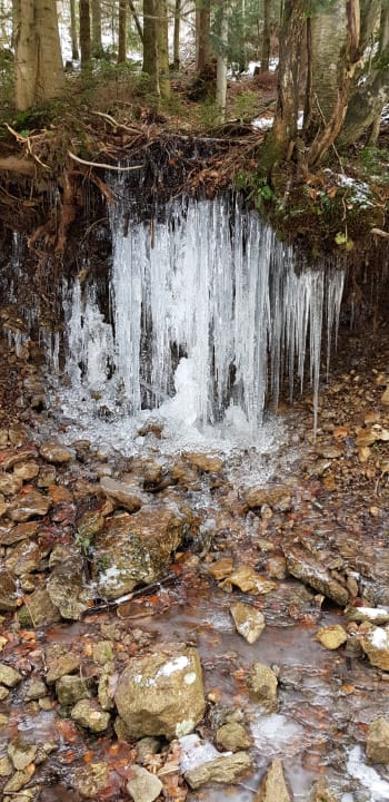 Ausblick Landhaus Meine Auszeit