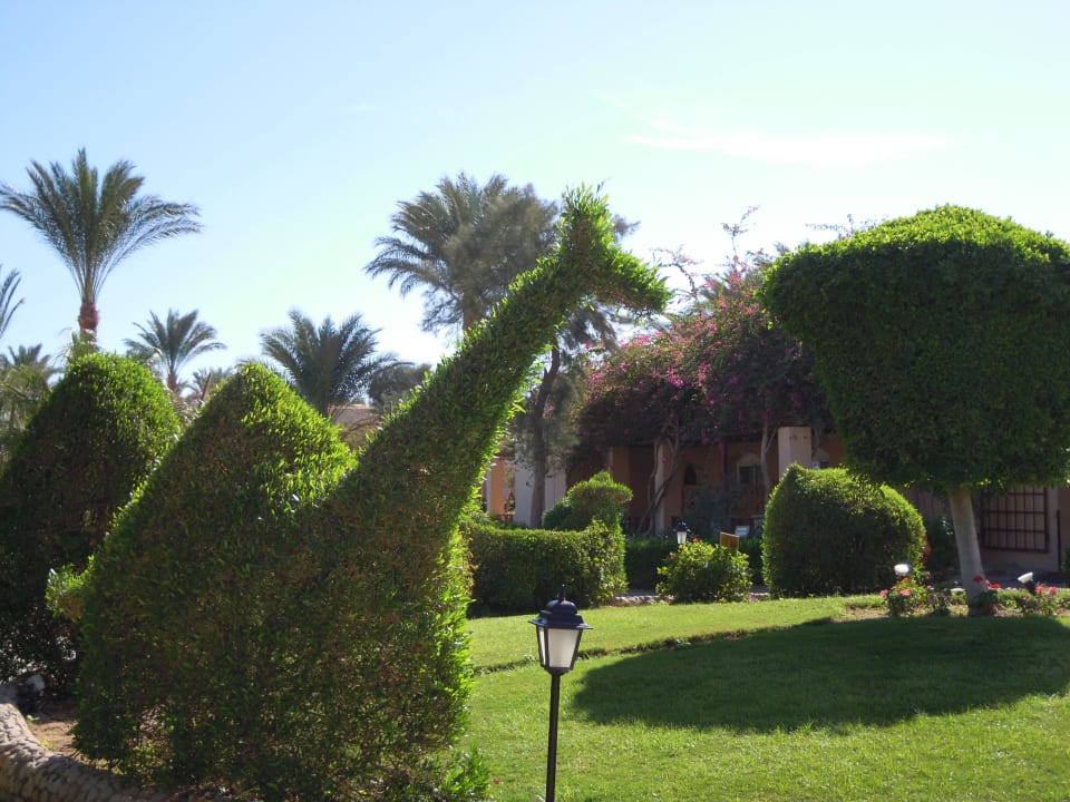 Wunderschön geschnittene Büsche, hier als Kamel Jaz Makadi Oasis Resort