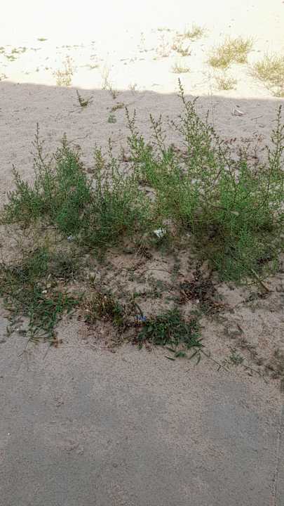 Gastro Hotel Borjana