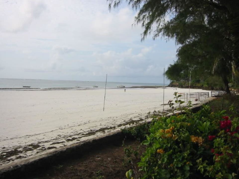 Strand nach Tanzania Hotel Papillon Lagoon Reef